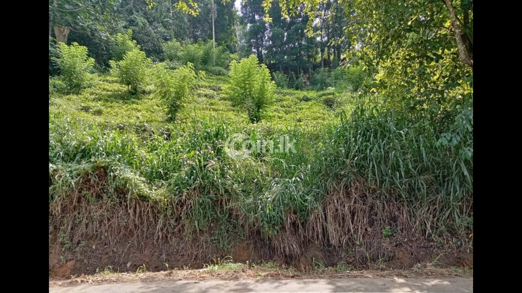 Land for sale Poththapitiya Pilimathalawa