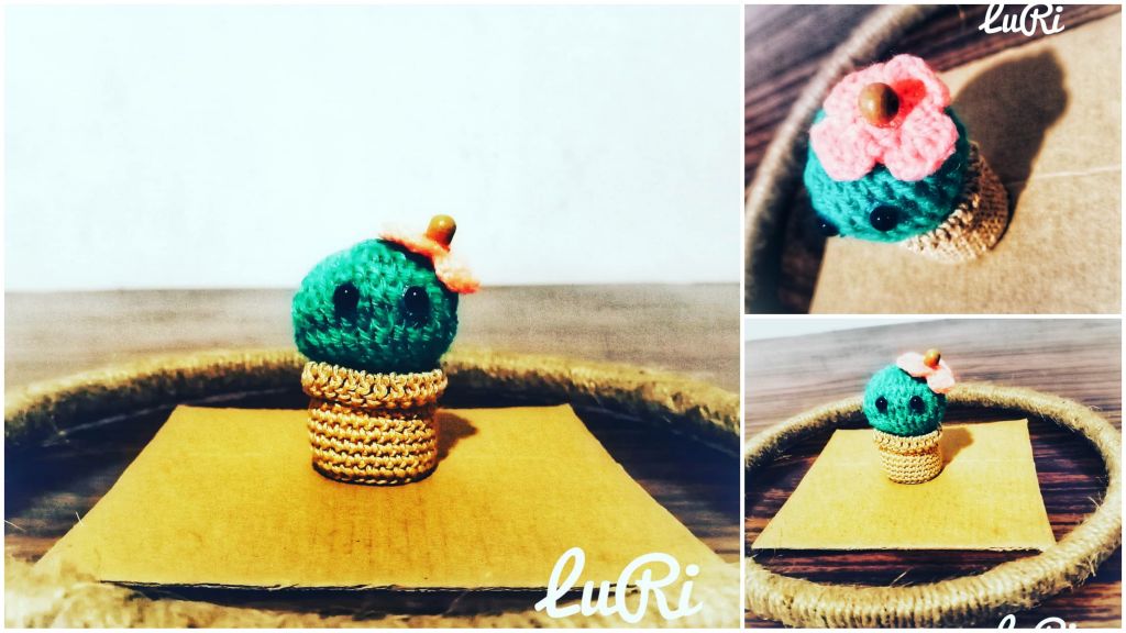 Crochet Cactus Plant