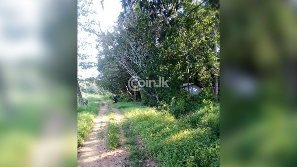 A land for sale in Mahiyangana මහියංගණය ඉඩමක් විකිණීමට