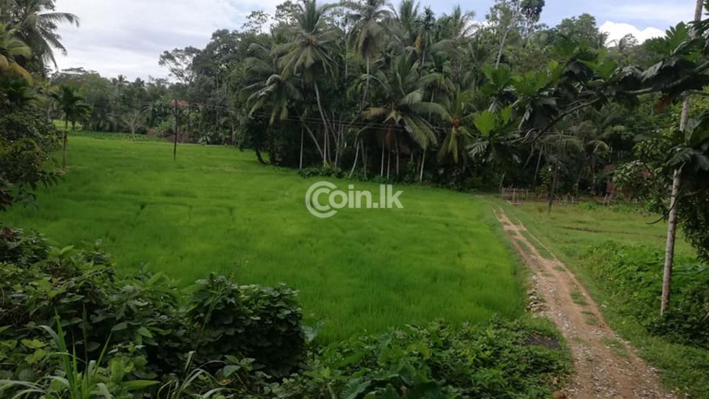 Land for sale in Habaraduwa