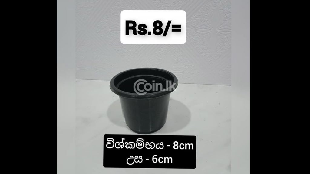 ප්ලාස්ටික් මල් පෝච්චි පහසු මිලට ලබා ගත හැකිය..